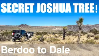 Secret Joshua Tree: Offroad in the National Park