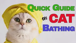 Quick Guide to Cat Bathing