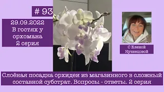 # 93 В гостях у орхомана. Слоёная посадка орхидеи из магазинного в сложный составной грунт. 2 серия