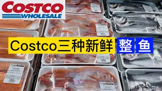 Costco的三种新鲜整鱼，种类不多，个个都是精品 | 年夜饭的鱼 | Whole fishes in Costco | Ep 159 【Yi Life】