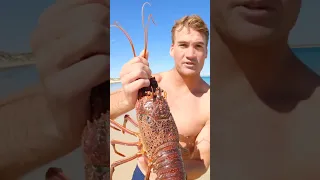 Giant Red Lobster Bare Hand Catch and Cook