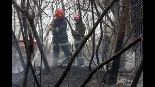 На Хмельниччині чергове “прибирання вогнем” спровокувало пожежу торфу