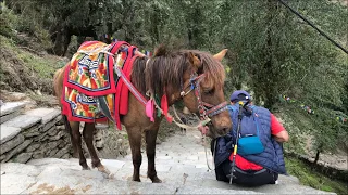 Himalaya - Jhinu Danda || Annapurna Base Camp Trek || Day 9