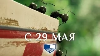 «Букашки: Приключения в долине муравьев» — фильм в СИНЕМА ПАРК