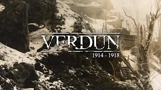 Verdun: Battle of Hartmannswillerkopf 1915 | NO HUD | Realistic WWI Experience