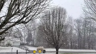 Franklin, KY - SNOWING! #shorts #viral #fyp #viralvideos #viralvideo