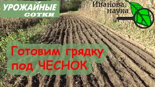 Крупный и вкусный ЧЕСНОК без проблем! Готовим грядку к посадке ЧЕСНОКА!