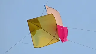 Clutch Kite Catch Trick - How To Caught a Kite For Beginners Trick & Technique || New idea,Patang