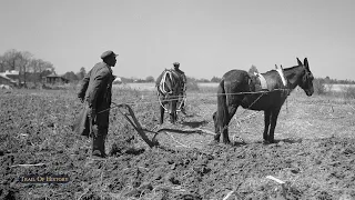 The Legacy of African American Farmers | Trail of History