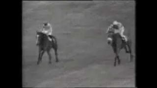 1969 Whitbread Gold Cup Handicap Chase