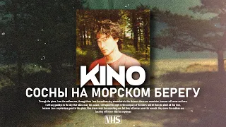 Кино - Сосны на морском берегу (VHS Remix)