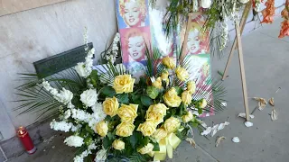 Marilyn Monroe Grave Flowers Westwood Memorial Park Los Angeles California USA August 12, 2023