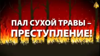 Правила поведения в пожароопасный период (пал сухой травы и отдых на природе)