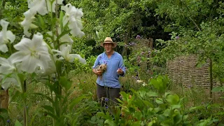 Gardeners' World 2022 Episode 19 - Monty Don at Longmeadow