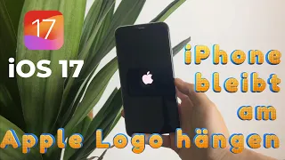 iPhone bleibt bei der Aktualisierung von iOS 17 am Apple Logo hängen? 6 Wege zur Lösung!