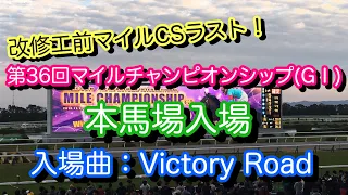 【改修前ラストマイルCS！】第36回マイルチャンピオンシップ(G1)本馬場入場(入場曲:Victory Road)
