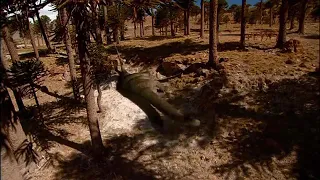 Dino Lab Discovery Channel