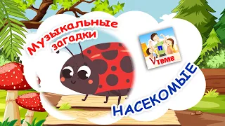 НАСЕКОМЫЕ. Музыкальные загадки для малышей. Наше всё!