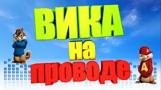 Песня про ВИКУ (Бурундуки)