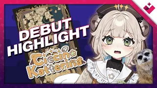 Celebrate the Beginning of Our Precious Meerkat Treasurer! [Ciccino Katterina | VTuber Clips]