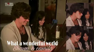 Shawn mendes and camila cabello performing What a wonderful world #togetherAtHome #concert