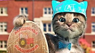ПРИКЛЮЧЕНИЯ МАЛЕНЬКОГО КОТЕНКА В ШКОЛЕ - Развивающий мультфильм про котят! Мультик для детей