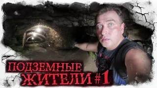 Underground inhabitants. Part 1 - Secret entrance. Paranormal events in Siberia.