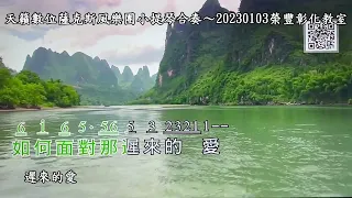 遲來的愛~李茂山~天籟數位薩克斯風樂團小提琴合奏~20230103榮豐彰化教室