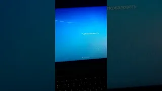 Не загружается WINDOWS