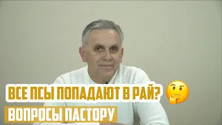 Вопросы пастору - Все псы попадают в рай?