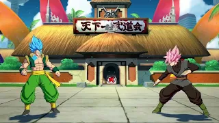 Dragón Ball Fighter Z*