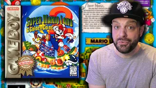 How Super Mario Land 2: 6 Golden Coins Changed EVERYTHING!