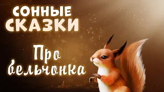 Сонные сказки | про бельчонка и ёжика | тихий мужской голос