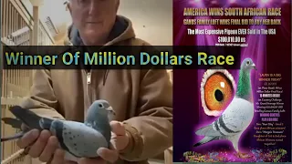 Winner Of Million Dollars Race | Mike Ganus | Racing pigeons