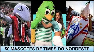 MASCOT OF TEAMS IN THE NORTHEAST OF BRAZIL - MEET 50 MASCOTS OF NORTHEASTERN CLUBS