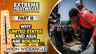 How the US, Asia, and other countries are tackling heatwave | WION Wideangle