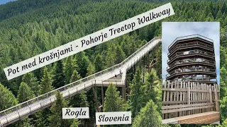 Exploring Slovenia: Pohorje Treetop Walkway (Pot med krošnjami), Rogla