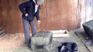 Large Handy Hay Net Pulley System set up demo