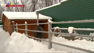 Новости. 15:00 за 22 февраля 2017 года