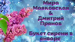 ❄️🌲❄️С НАСТУПИВШИМ! ПОЗДРАВЛЯЕТ ДУЭТ МИРА МАЯКОВСКАЯ & ДМИТРИЙ ПРЯНОВ! - БУКЕТ СИРЕНИ В ЯНВАРЕ❄️🌲❄️