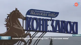 Закрепление молодых специалистов в ОАО Полесская Нива