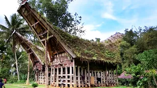 Indonesia's Incredible Ancestral Homes | Show Me Where You Live Compilation