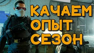 простой способ прокачки опыта The Division 2