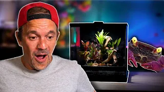 UN TERRARIUM TROPICAL QUAND T'AS PAS TROP DE PLACE ! - TOOPET