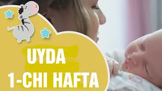 BOLA BILAN UYDA 1 -CHI HAFTA