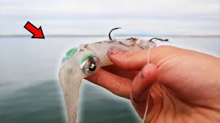 Fishing with Squid for GIANT Fish!?!