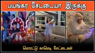 அடியே இருங்கடி இன்னிக்கு வசமா மாட்டிகிட்டங்க 😂💥 | Tamil funny videos | comedy funny moments | funny