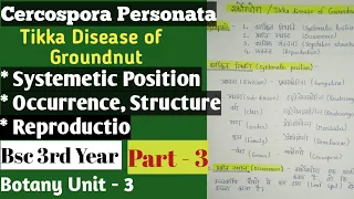 Tikka Diseases of Groundnut Bsc 3rd Year, Cercospora Personata, मूंगफली का टिक्का रोग