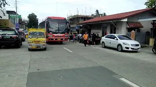 DLTB Bus (No.1101)