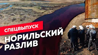 Кто виноват в экологической катастрофе в Заполярье? / Редакция